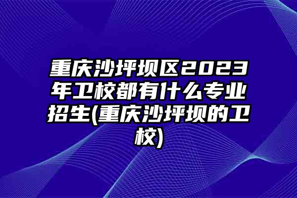 重庆沙坪坝区2023年卫校都有什么专业招生(重庆沙坪坝的卫校)